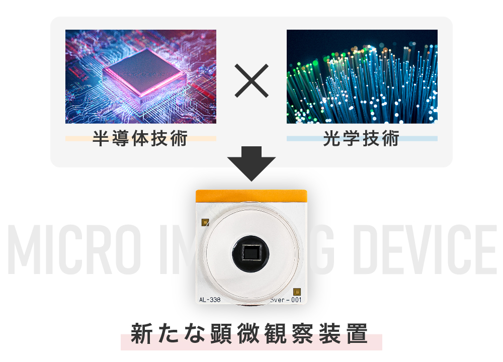 顕微観察装置（MID）の技術