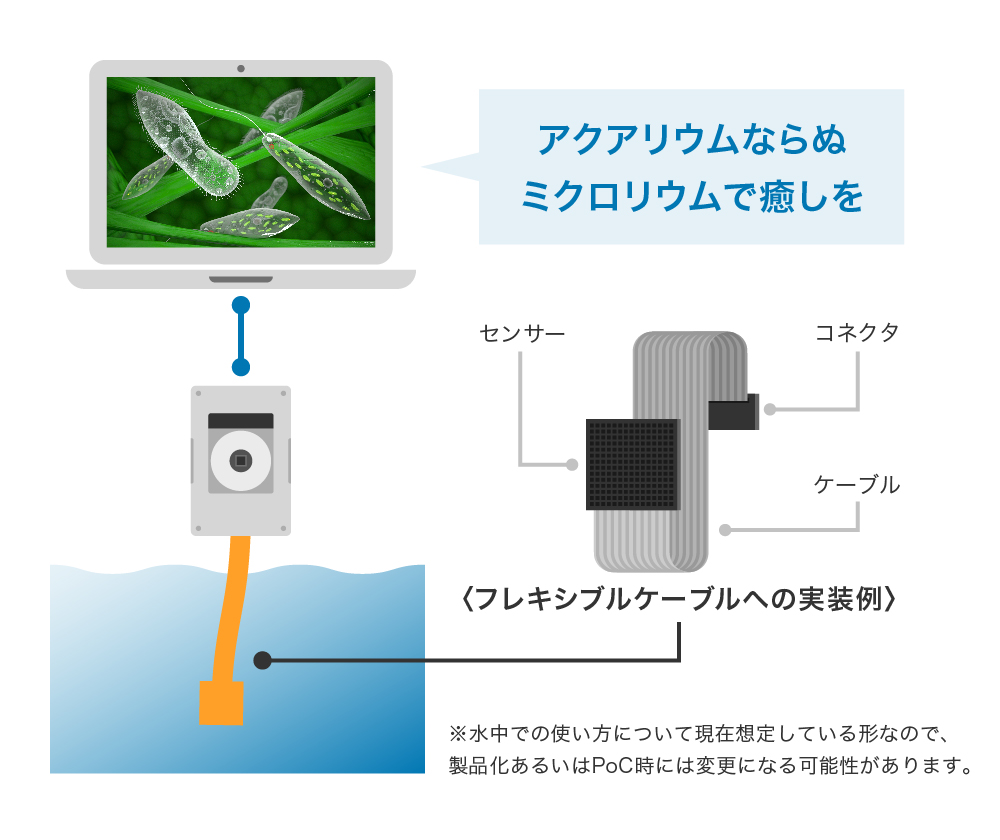 BtoC事業の構想